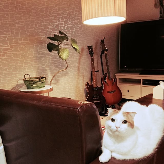 marizouさんの実例写真