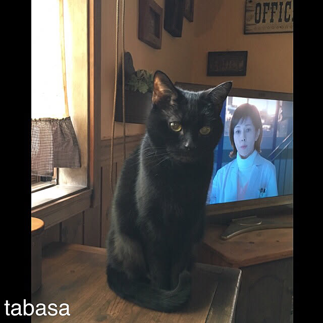 tabasaさんの実例写真
