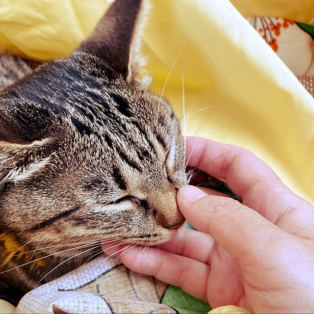 Mさんの実例写真