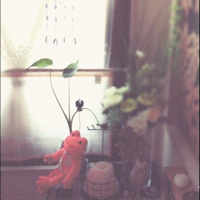 october.rabbitさんの実例写真