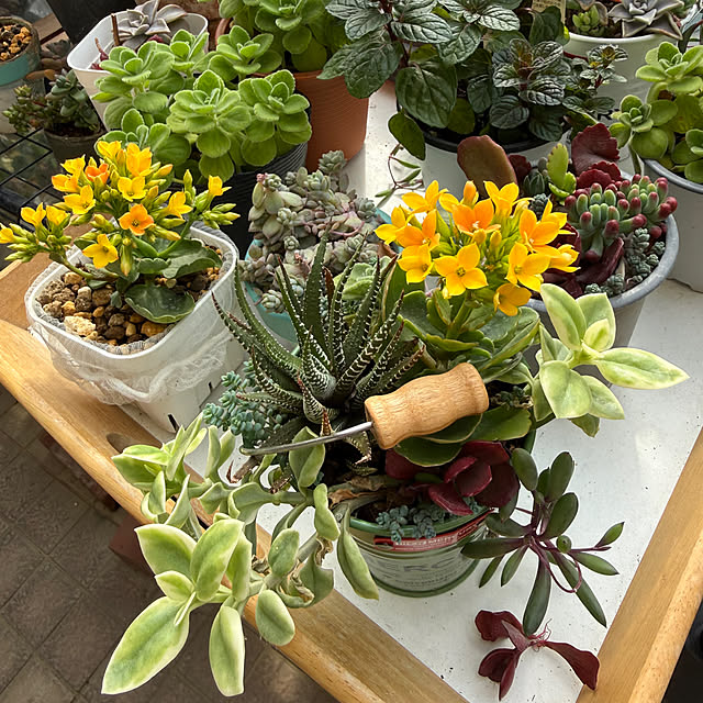 Aqettyさんの部屋