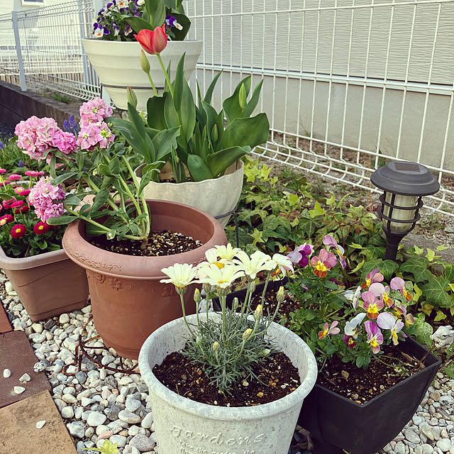 Rikimaさんの部屋