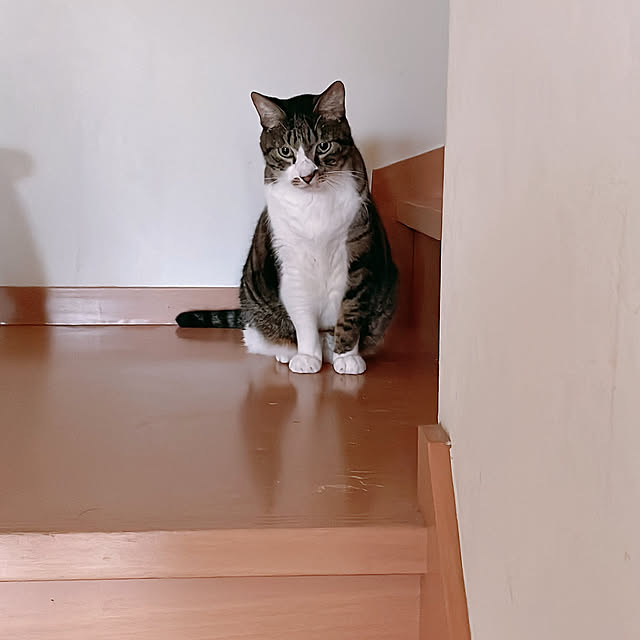 milkcocoaさんの部屋