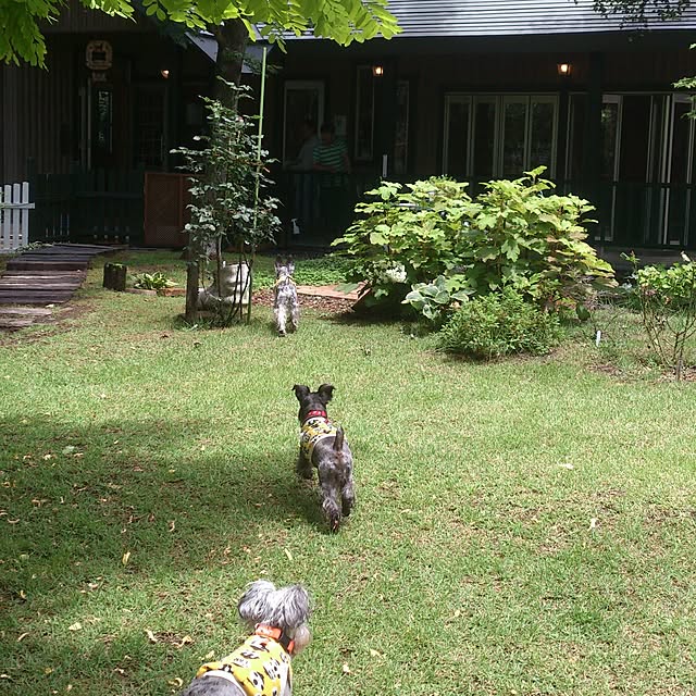 satobonmamaさんの実例写真