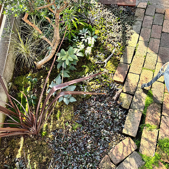 kyoko1124koさんの実例写真