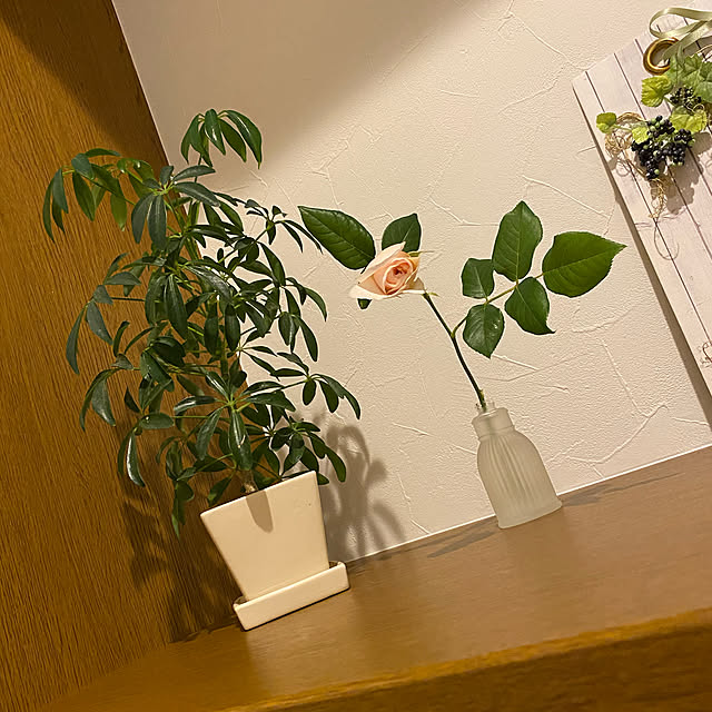zuccoさんの実例写真
