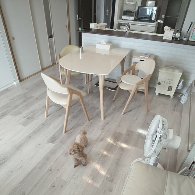 erisavesu4さんの実例写真