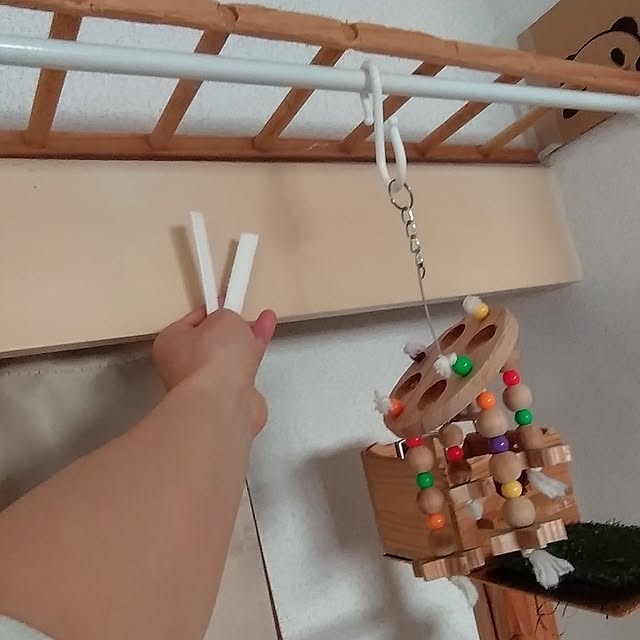 toratanさんの部屋