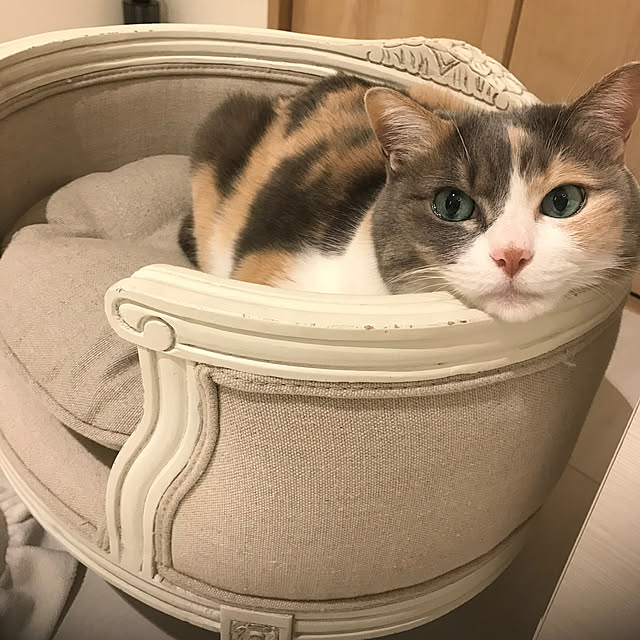 bebeさんの部屋