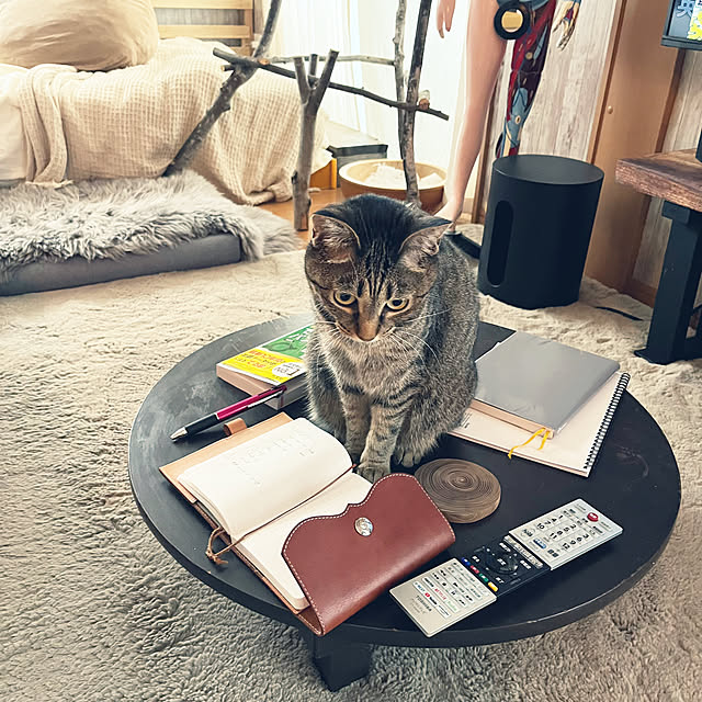 Mさんの実例写真