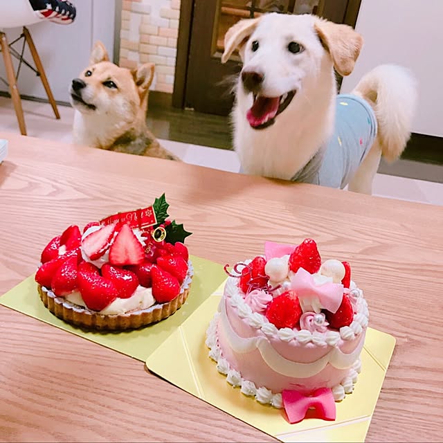 mtkさんの実例写真