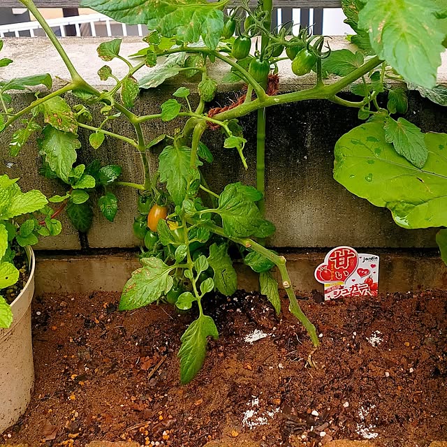ryomomさんの部屋
