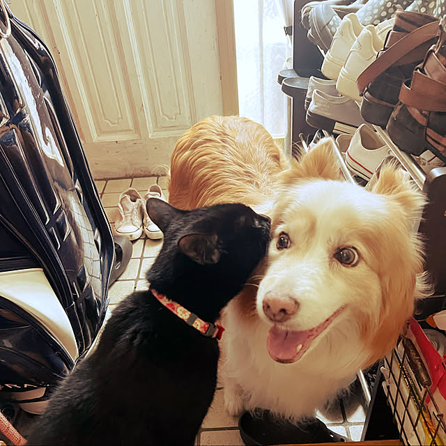 RUNRUNさんの実例写真