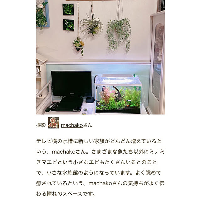 machakoさんの実例写真