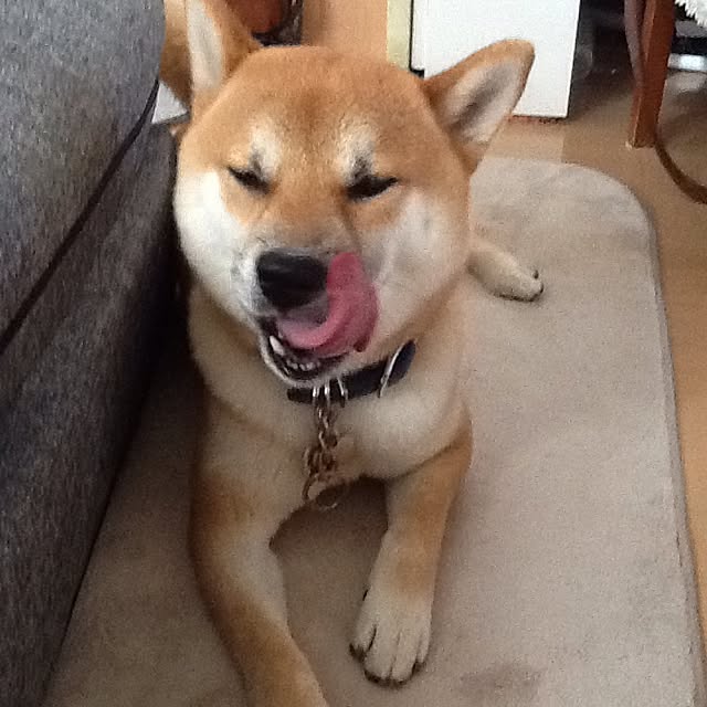 kotaさんの実例写真