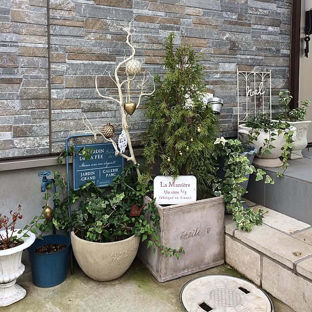 ikumiさんの実例写真