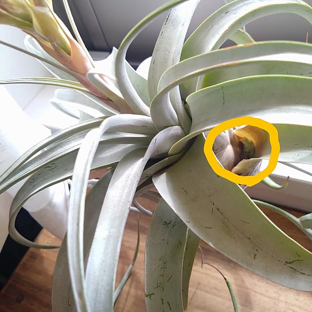 kerochanさんの部屋