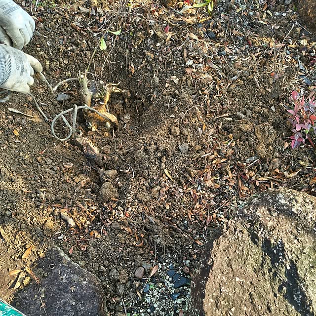 Rubiconさんの部屋