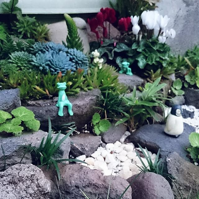 aomonさんの実例写真
