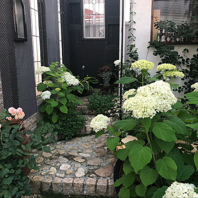 rinrinさんの実例写真