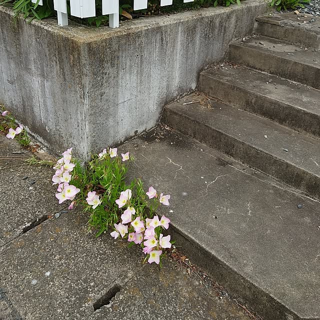 tokotokoさんの部屋