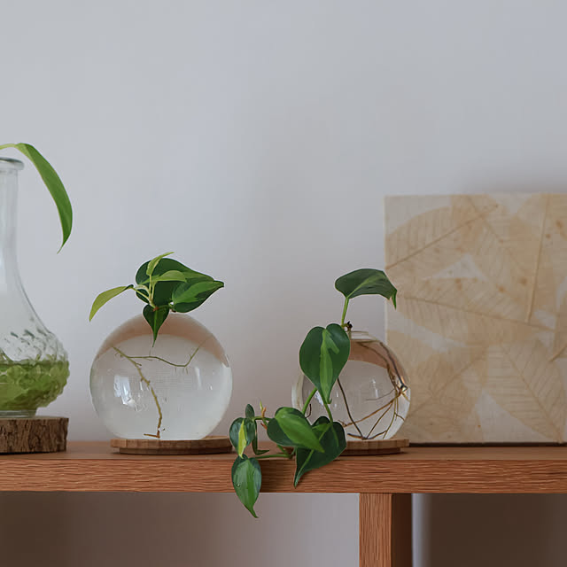 Summerさんの部屋