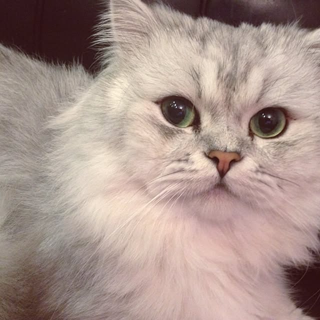 horurunさんの実例写真