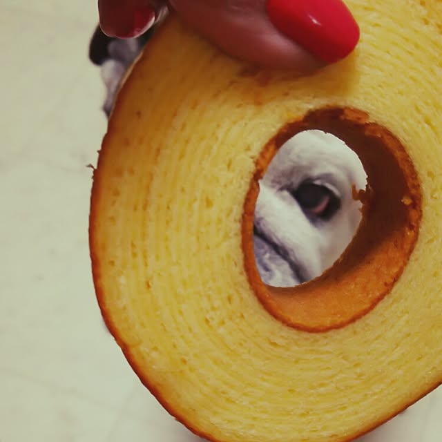 実例写真