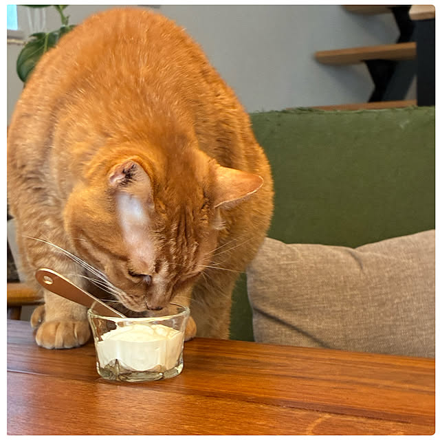 Hisashiさんの部屋