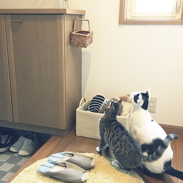 nobikoさんの実例写真