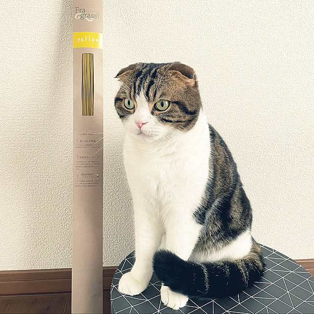tansukeさんの実例写真