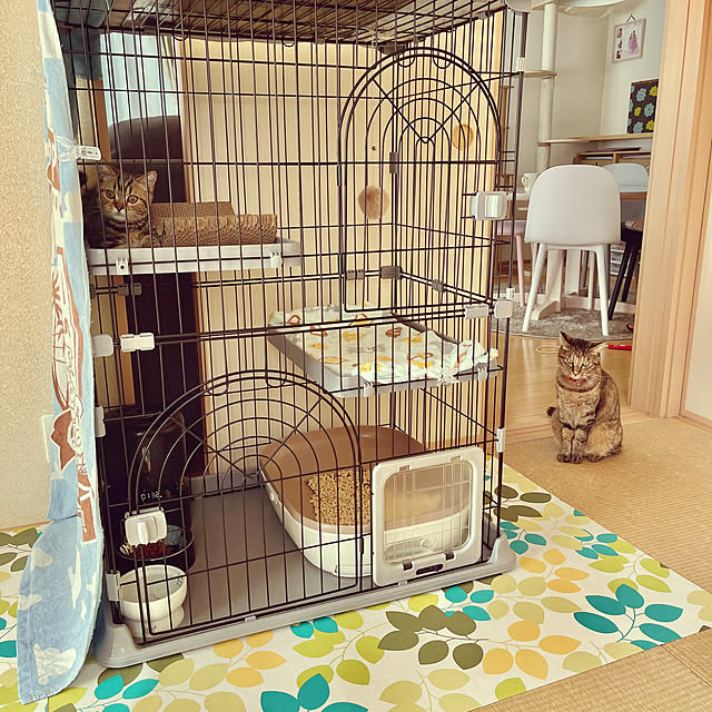 chiiさんのお部屋の写真