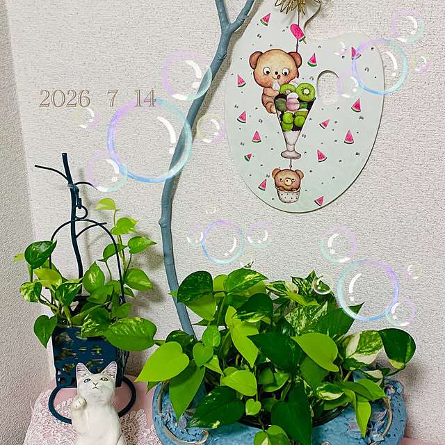 majoramさんの実例写真
