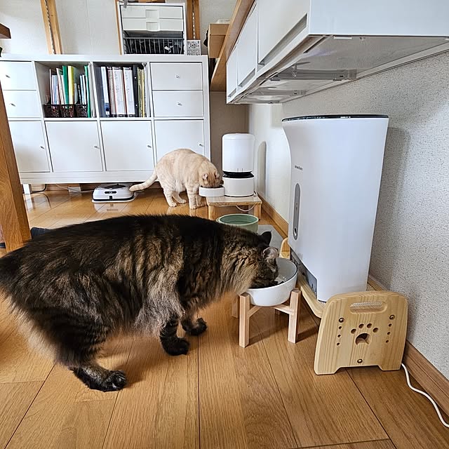 makoのPETLIBRO-PETLIBRO 自動給餌器 猫 カメラ付き 自動餌やり器 1080P 暗視機能 スマホ遠隔操作 双方向会話 2.4G 5G WiFi対応 フード残量不足検知 詰まり防止センサー 動体検知 音声検知 ペット見守り 5L大容量 ホワイトの家具・インテリア写真