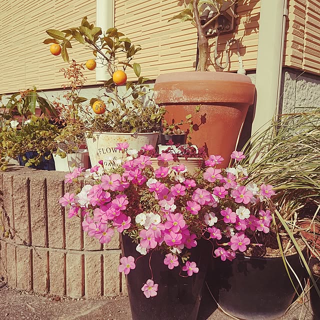 aitasoさんの実例写真