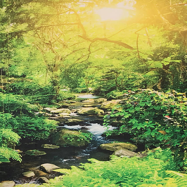 実例写真