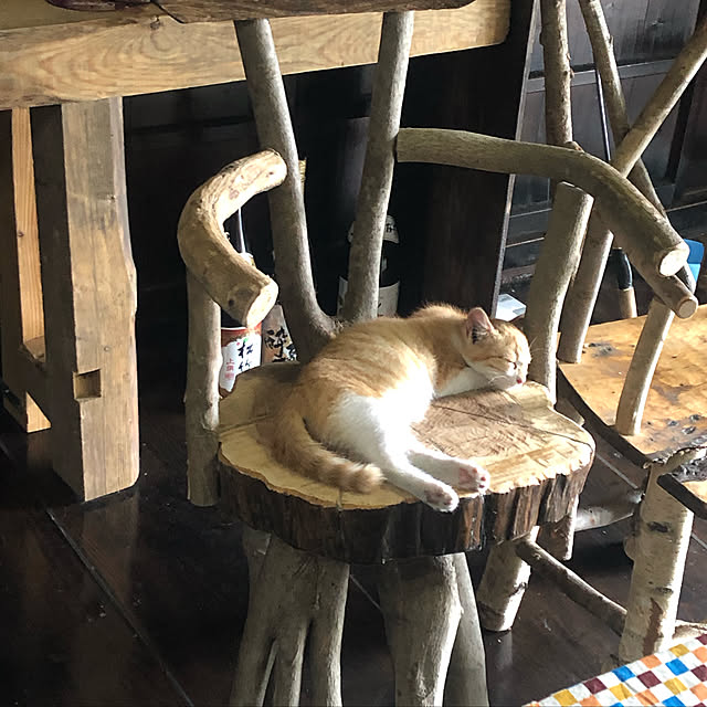 部屋全体のインテリア実例 - 2019-08-06 18:49:50