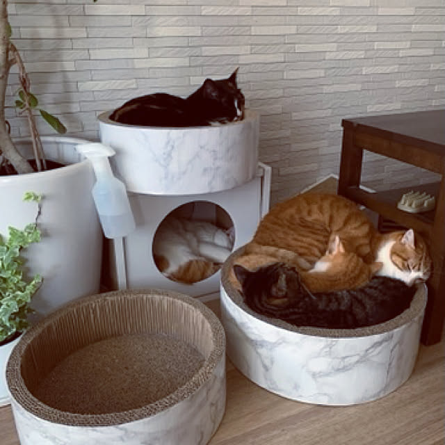 Boniさんの実例写真