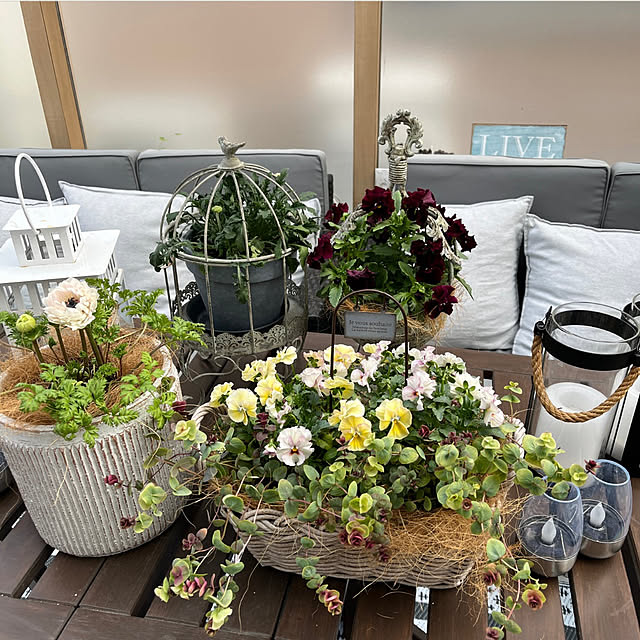 felicityさんの部屋