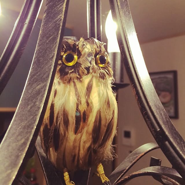 Tabasaさんの実例写真