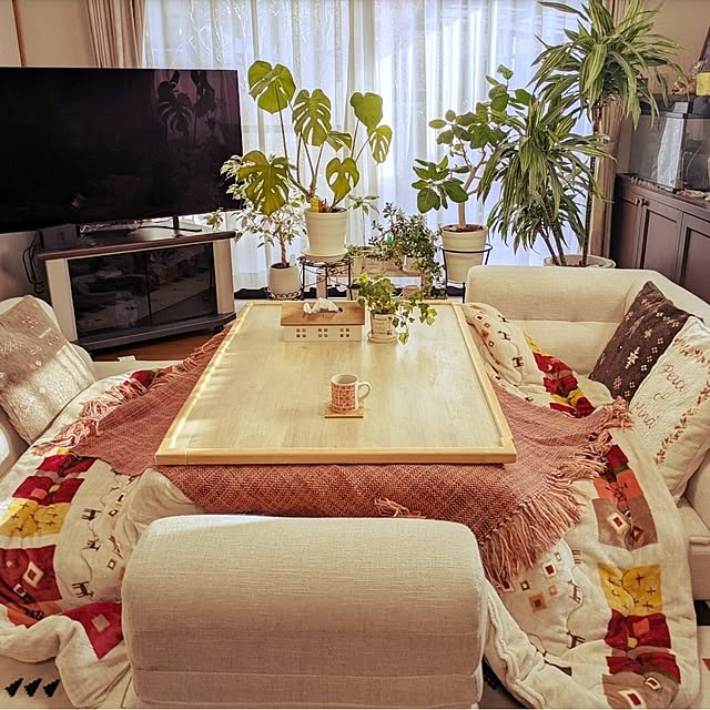 ku-garnet18さんの部屋