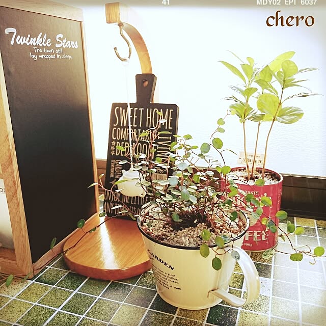 chero.さんの実例写真