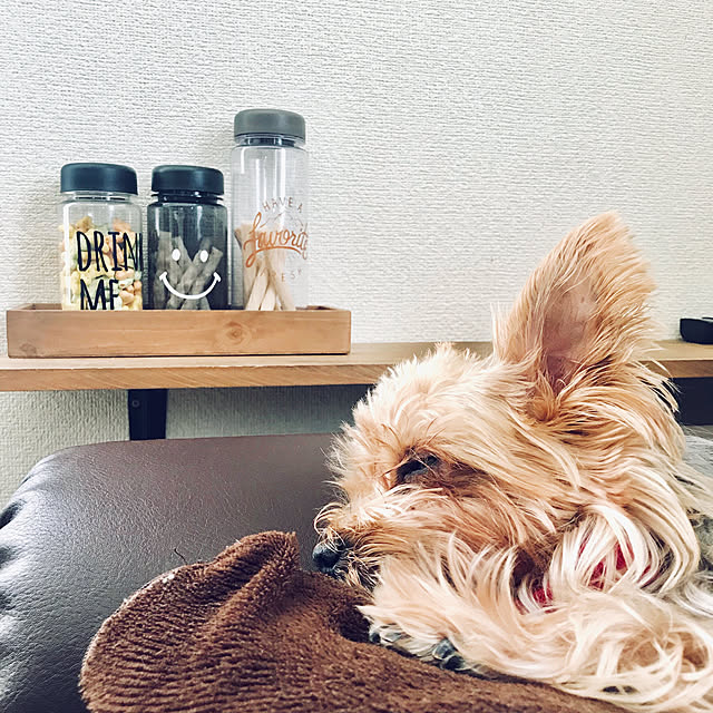 mocoさんの実例写真
