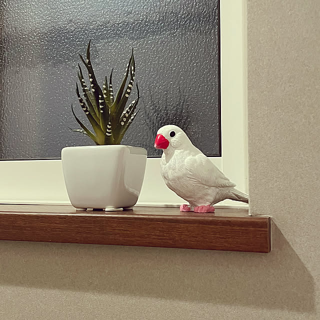yukimidaifukuさんの実例写真
