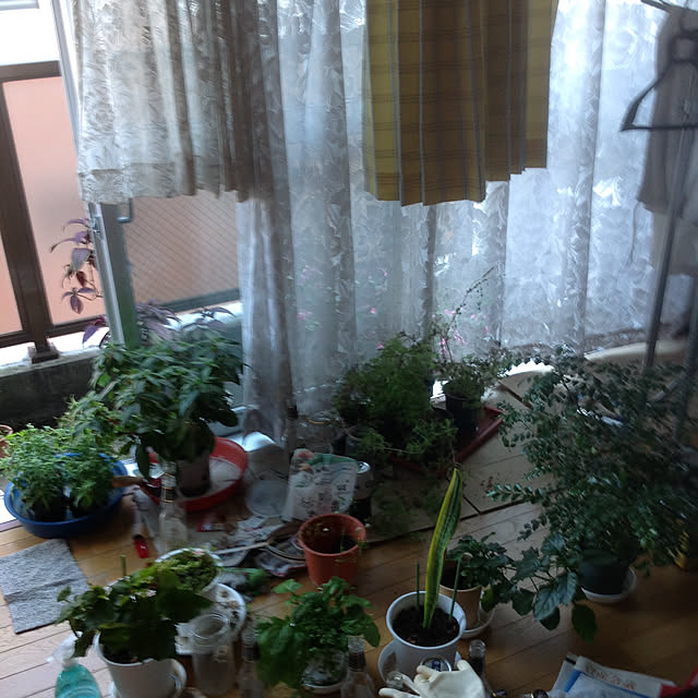 mikiandneneさんの実例写真
