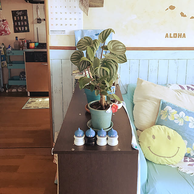 ariceさんの実例写真