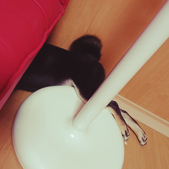 xxxakyxxxさんの実例写真