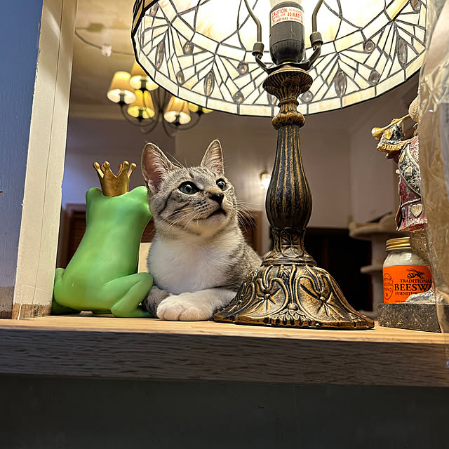 Nekogaoka_houseさんの実例写真
