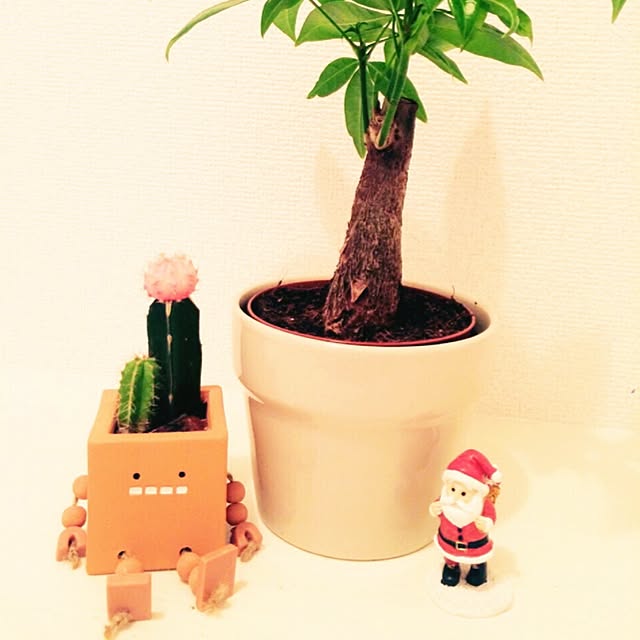 emimimiさんの実例写真