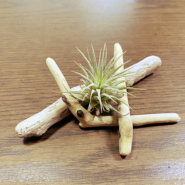reahさんの実例写真